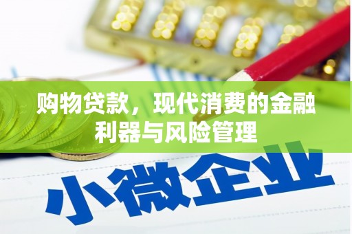 莱城购物贷款，现代消费的金融利器与风险管理