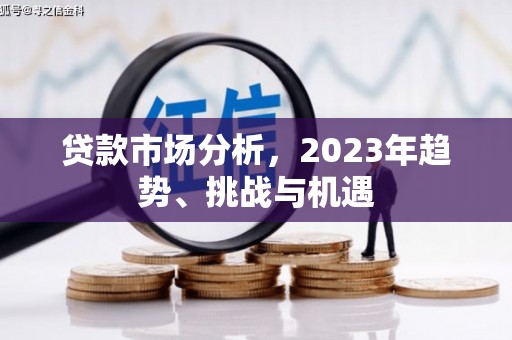 莱城贷款市场分析，2023年趋势、挑战与机遇