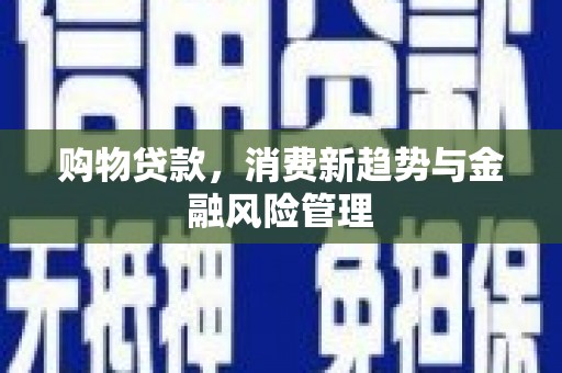 莱城购物贷款，消费新趋势与金融风险管理