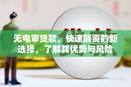 莱城无电审贷款，快速融资的新选择，了解其优势与风险