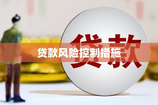 莱城贷款风险控制措施
