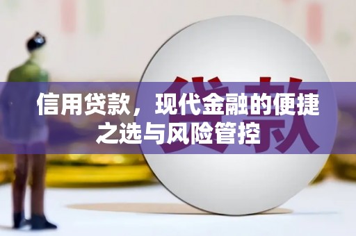 莱城信用贷款，现代金融的便捷之选与风险管控