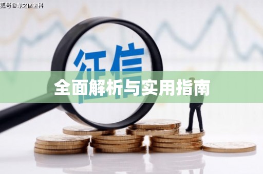 莱城全面解析与实用指南