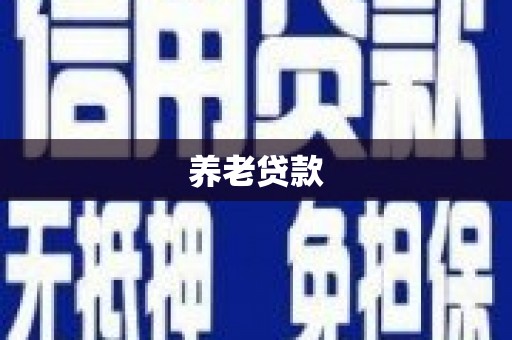 莱城养老贷款