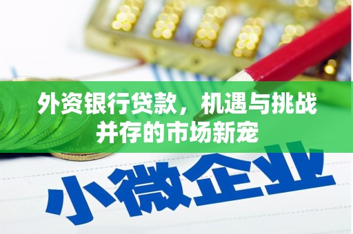 莱城外资银行贷款，机遇与挑战并存的市场新宠