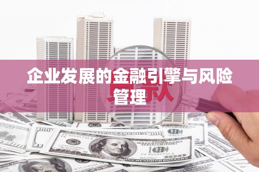 莱城企业发展的金融引擎与风险管理