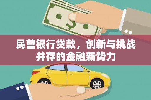 莱城民营银行贷款，创新与挑战并存的金融新势力