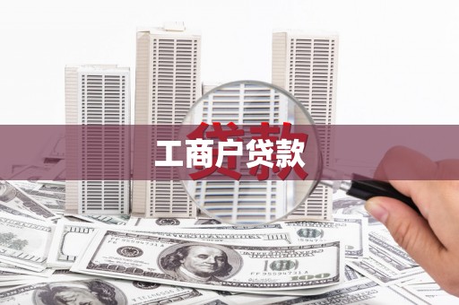 莱城工商户贷款