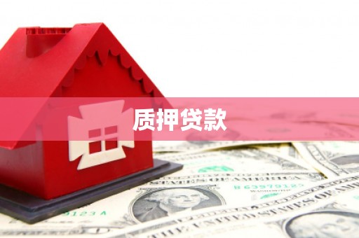 莱城质押贷款