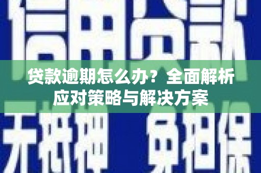 莱城贷款逾期怎么办？全面解析应对策略与解决方案
