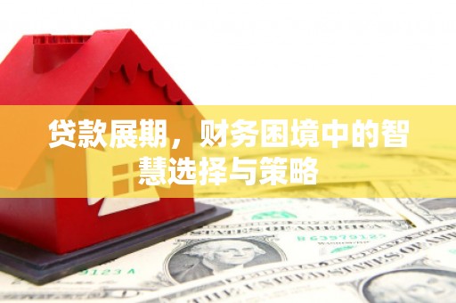 莱城贷款展期，财务困境中的智慧选择与策略