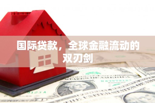 莱城国际贷款，全球金融流动的双刃剑