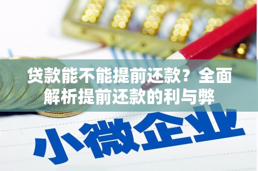莱城贷款能不能提前还款？全面解析提前还款的利与弊
