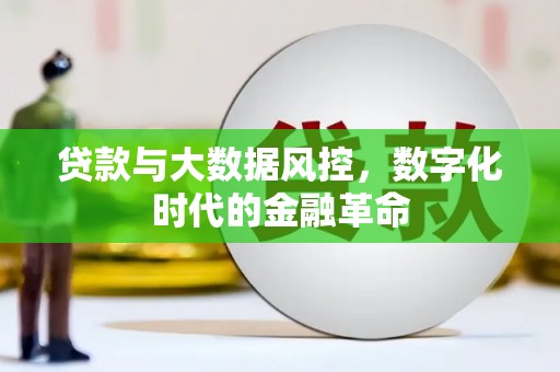 莱城贷款与大数据风控，数字化时代的金融革命
