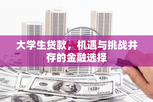 莱城大学生贷款，机遇与挑战并存的金融选择