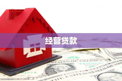 莱城经营贷款