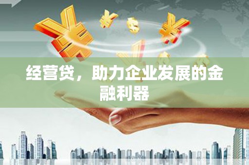 莱城经营贷，助力企业发展的金融利器