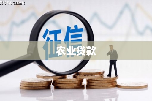 莱城农业贷款