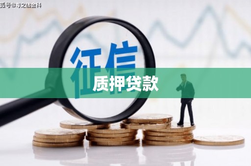 莱城质押贷款