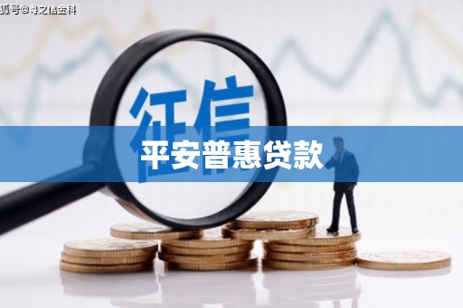莱城平安普惠贷款