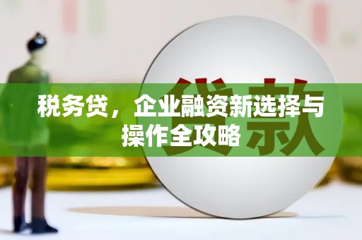 莱城税务贷，企业融资新选择与操作全攻略