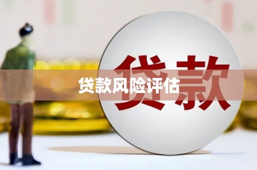 莱城贷款风险评估