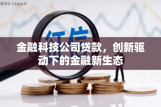 莱城金融科技公司贷款，创新驱动下的金融新生态
