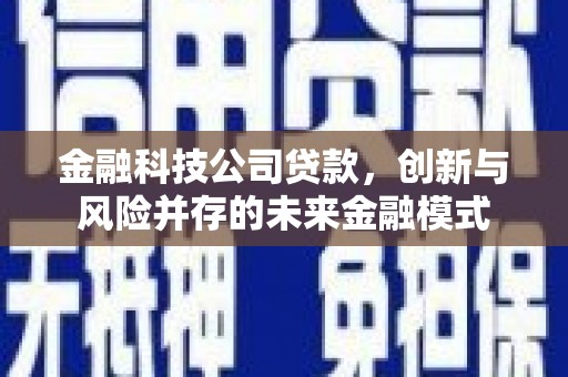 莱城金融科技公司贷款，创新与风险并存的未来金融模式