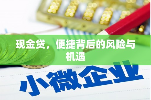 莱城现金贷，便捷背后的风险与机遇