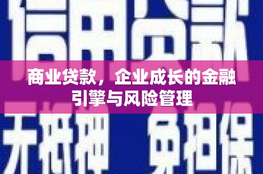 莱城商业贷款，企业成长的金融引擎与风险管理