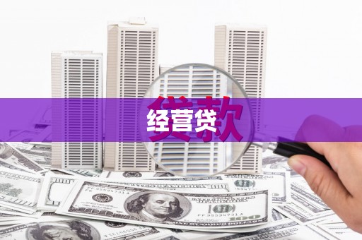 莱城经营贷