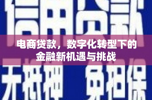 莱城电商贷款，数字化转型下的金融新机遇与挑战