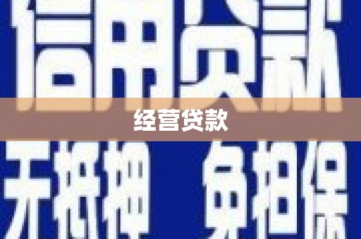 莱城经营贷款