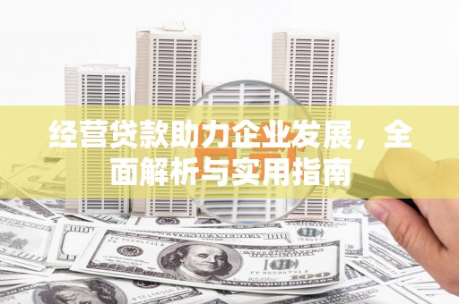 莱城经营贷款助力企业发展，全面解析与实用指南
