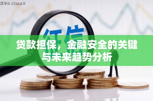 莱城贷款担保，金融安全的关键与未来趋势分析