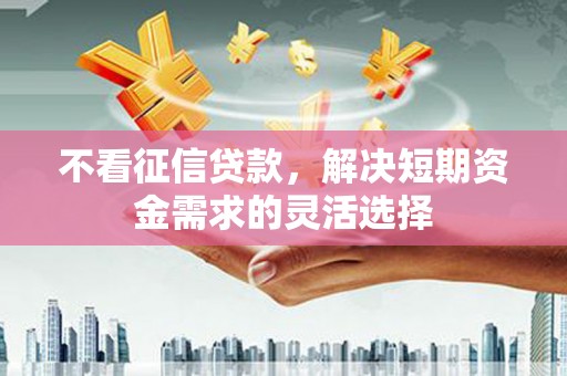 莱城不看征信贷款，解决短期资金需求的灵活选择