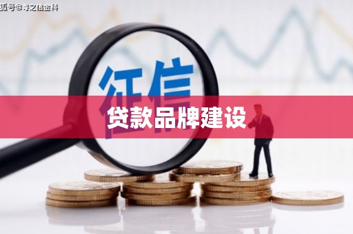 莱城贷款品牌建设