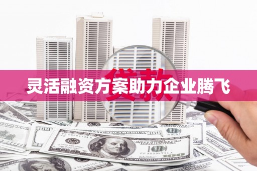 莱城灵活融资方案助力企业腾飞