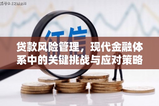 莱城贷款风险管理，现代金融体系中的关键挑战与应对策略