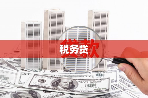 莱城税务贷