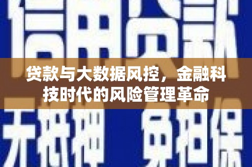 莱城贷款与大数据风控，金融科技时代的风险管理革命