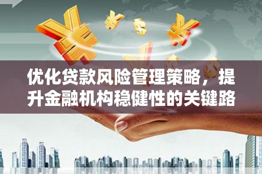 莱城优化贷款风险管理策略，提升金融机构稳健性的关键路径
