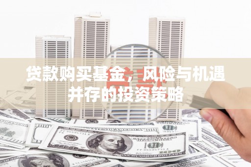 莱城贷款购买基金，风险与机遇并存的投资策略
