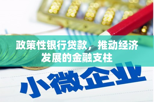 莱城政策性银行贷款，推动经济发展的金融支柱
