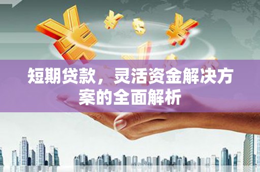 莱城短期贷款，灵活资金解决方案的全面解析