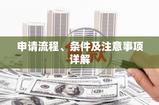 莱城申请流程、条件及注意事项详解