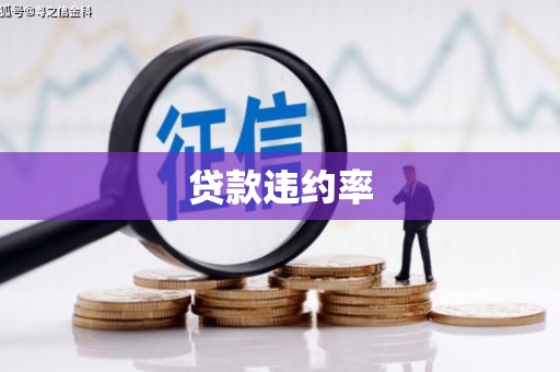 莱城贷款违约率