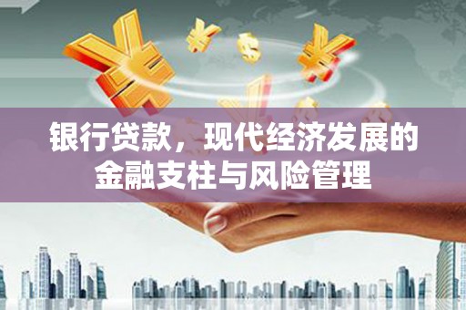 莱城银行贷款，现代经济发展的金融支柱与风险管理