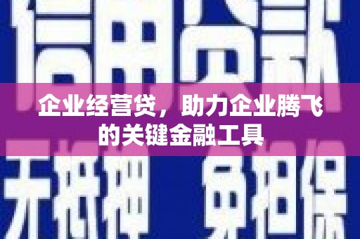莱城企业经营贷，助力企业腾飞的关键金融工具