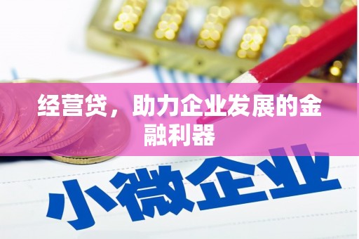 莱城经营贷，助力企业发展的金融利器
